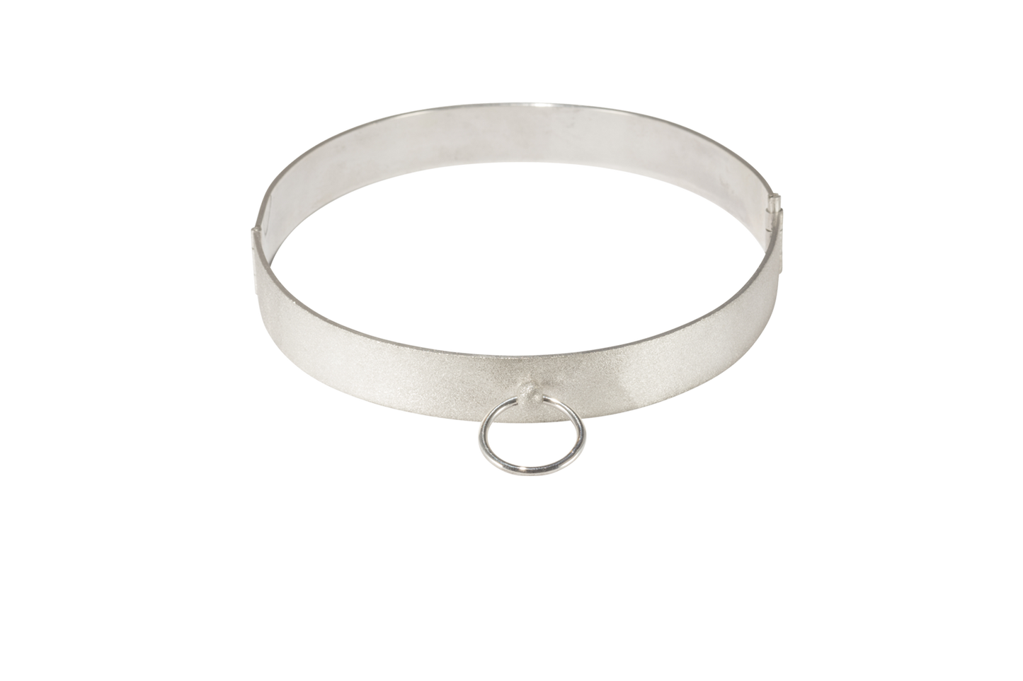 Verschraubbares maßgefertigtes Sklavenhalsband in Silber