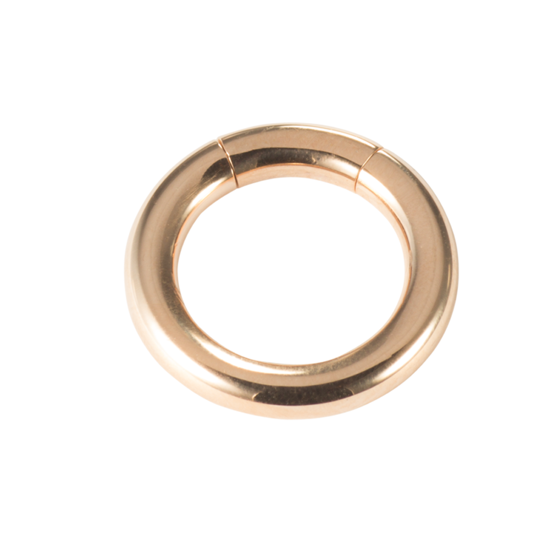 Segmentring Gold