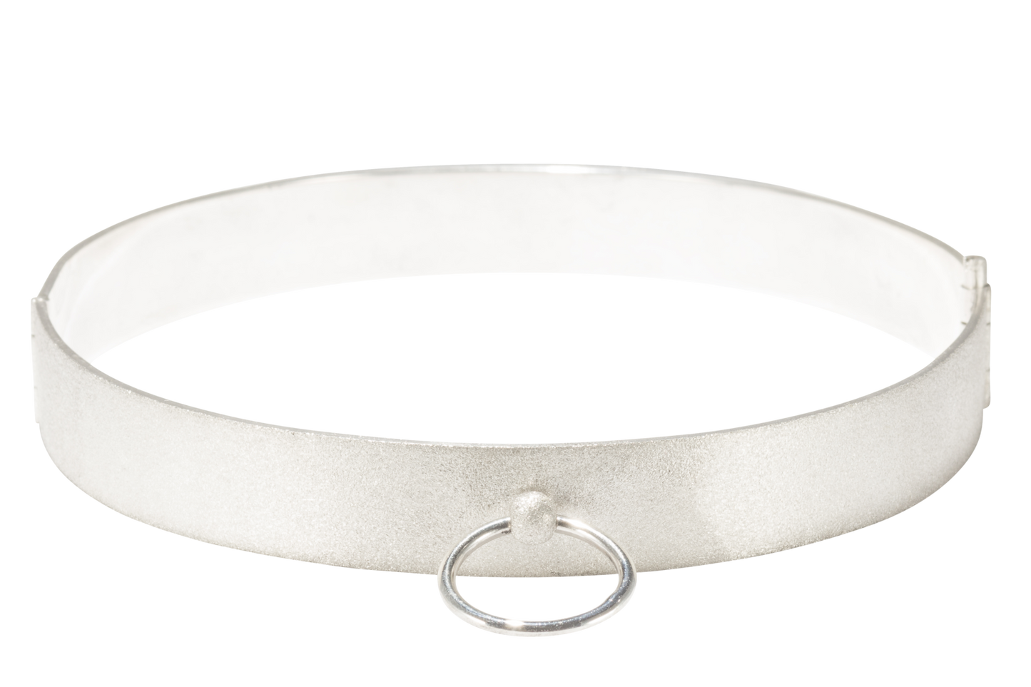 Verschraubbares maßgefertigtes Sklavenhalsband in Silber