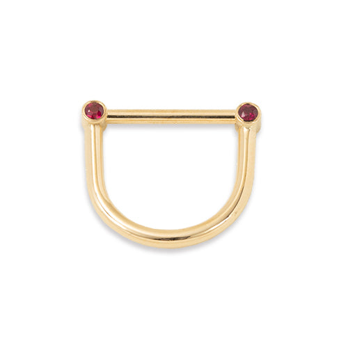 Schäkel Gold 750 mit Diamanten und Rubinen