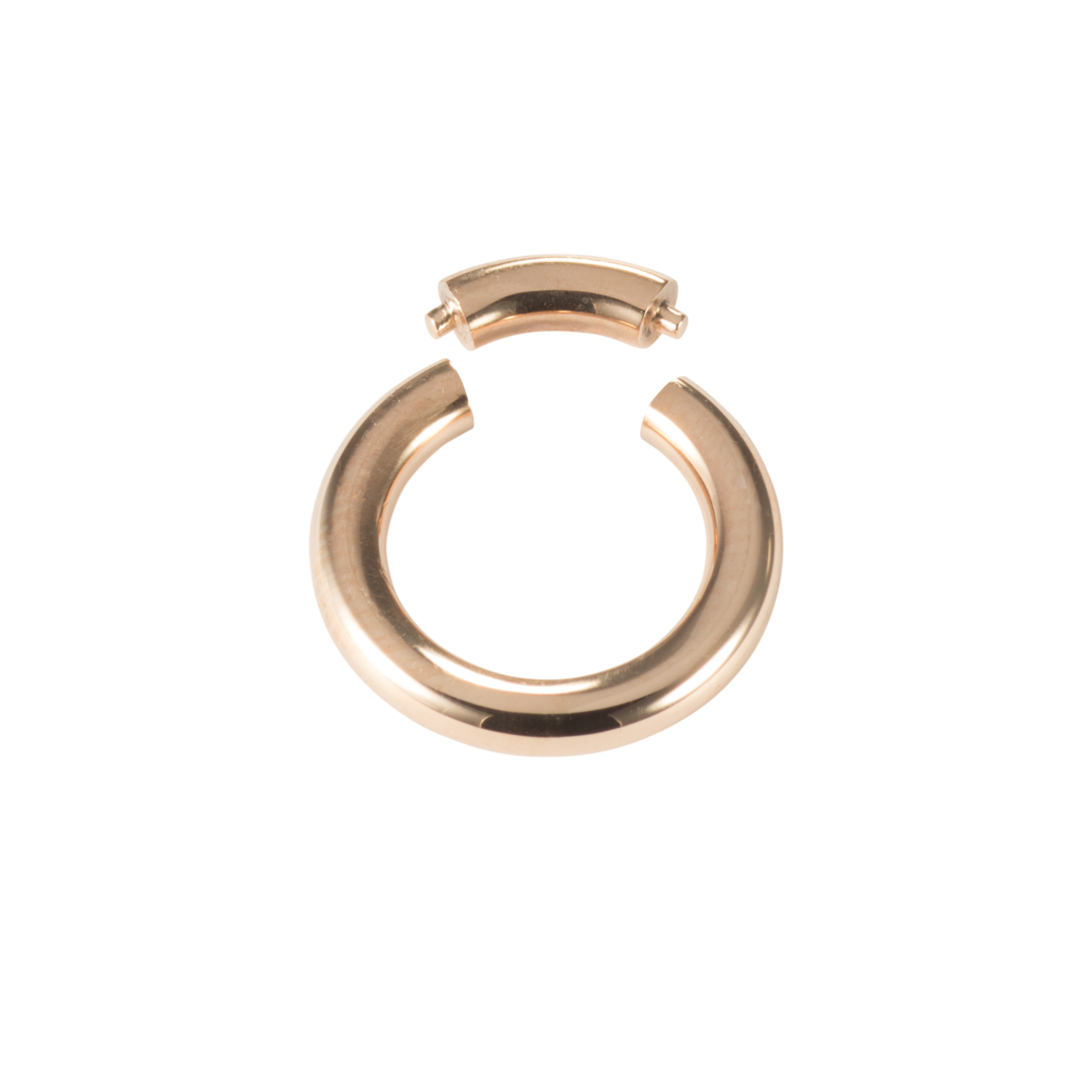 Segmentring Gold