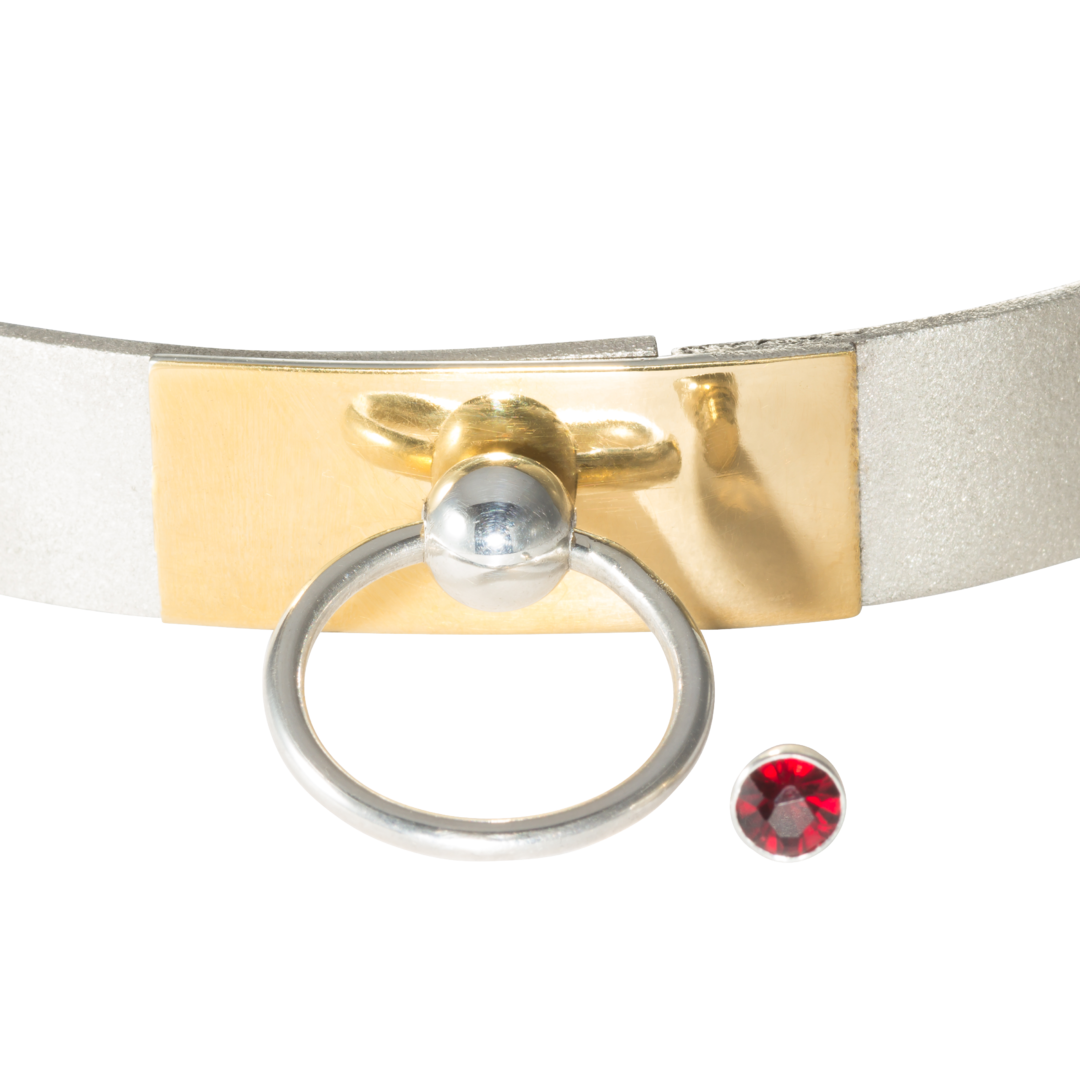 Custom-made slave collar in silver