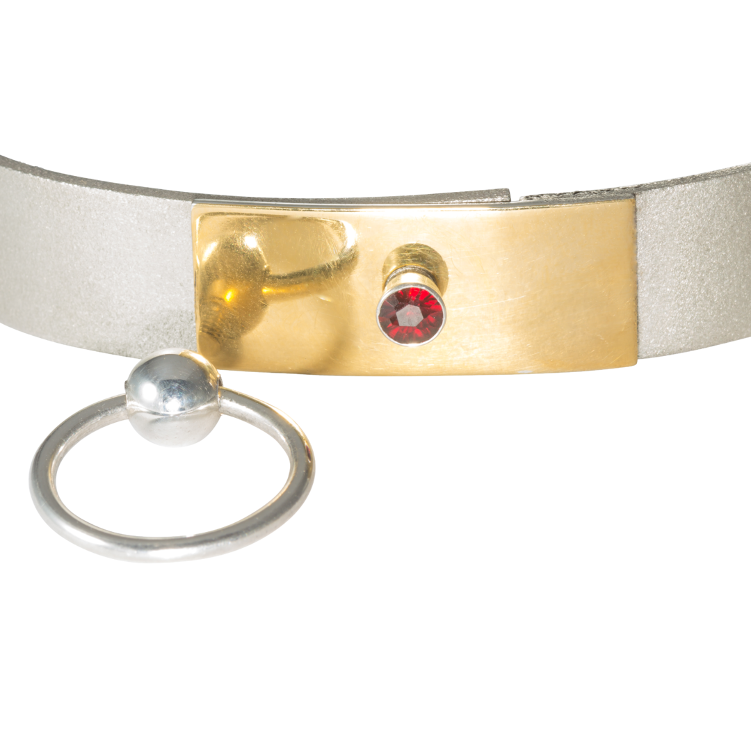 Custom-made slave collar in silver