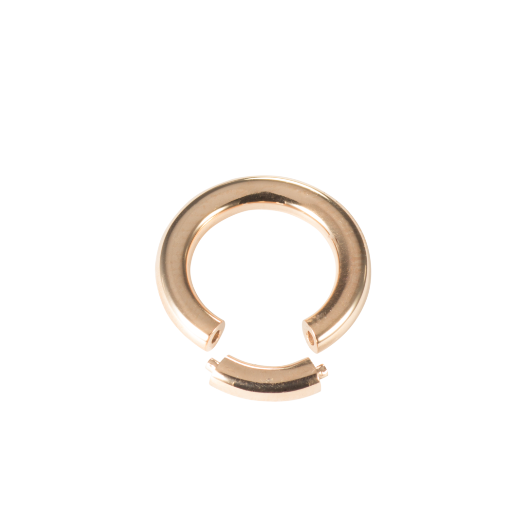 Segment Rig Segment Ring gold | Goldpiercingart.de