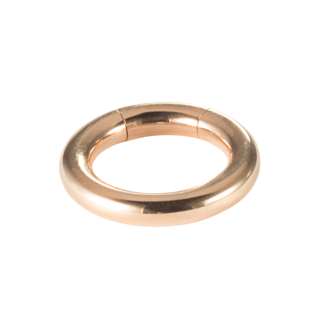 Segment Rig Segment Ring gold | Goldpiercingart.de